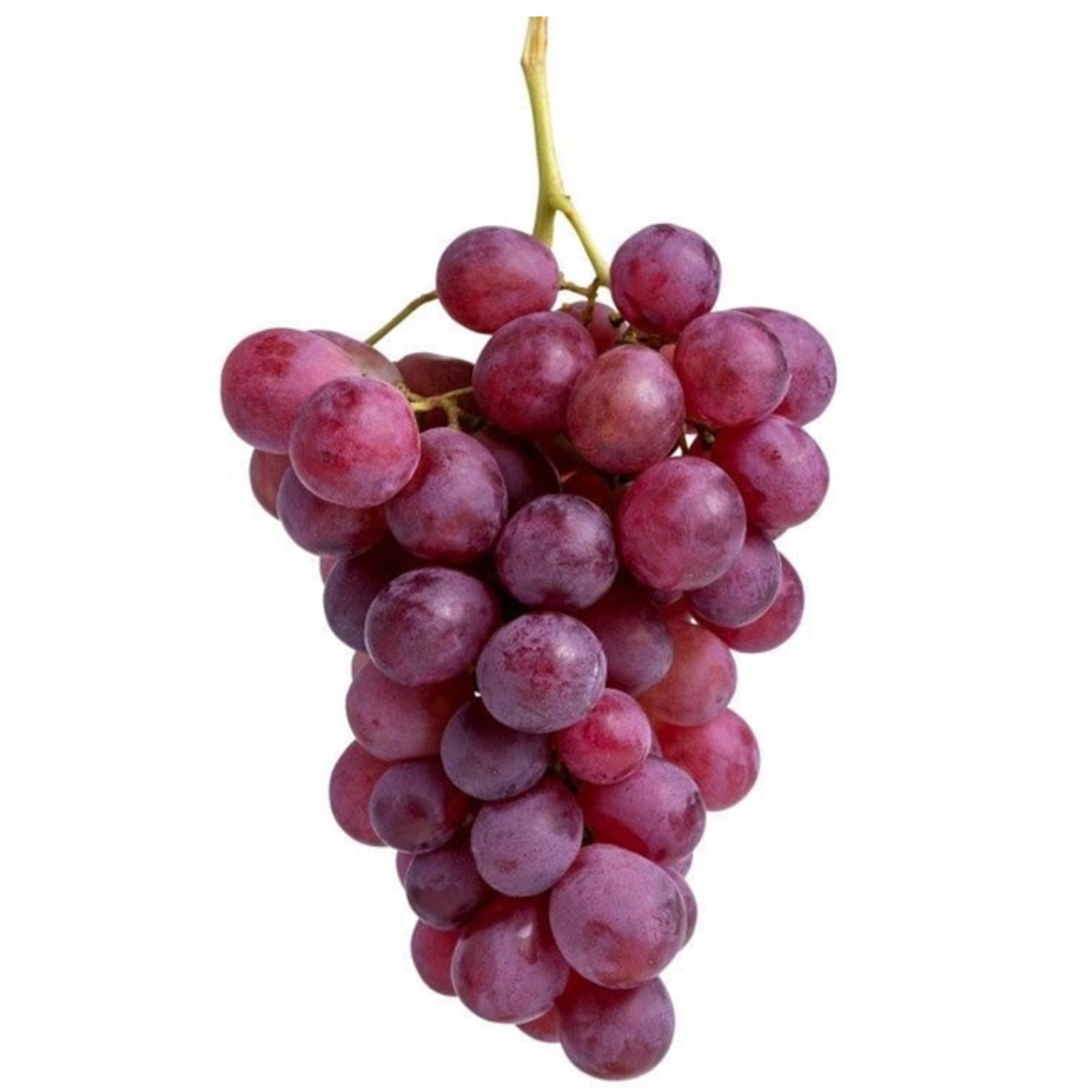 Uva chilena