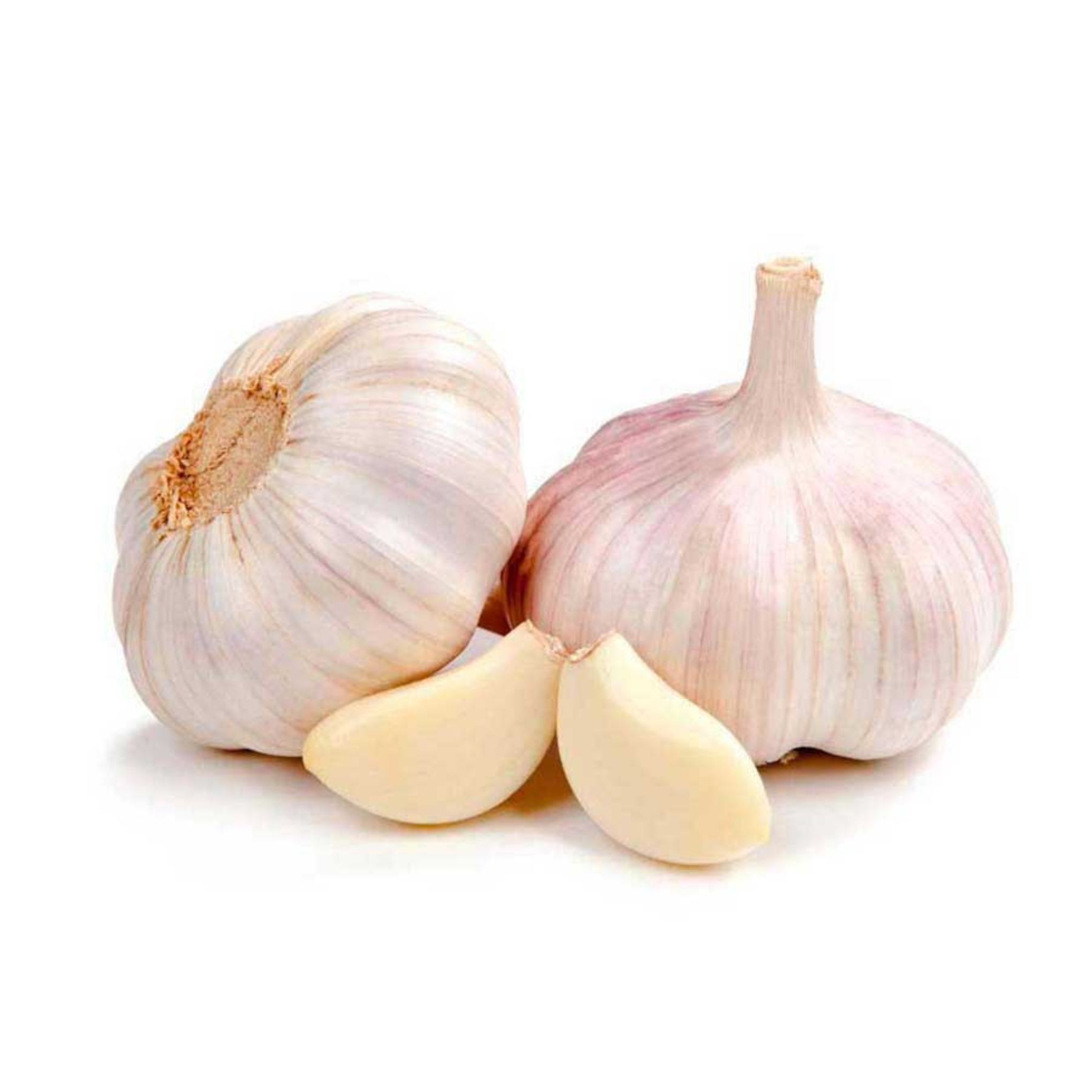 Ajo
