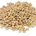 Lenteja x 500 gr surtigranos