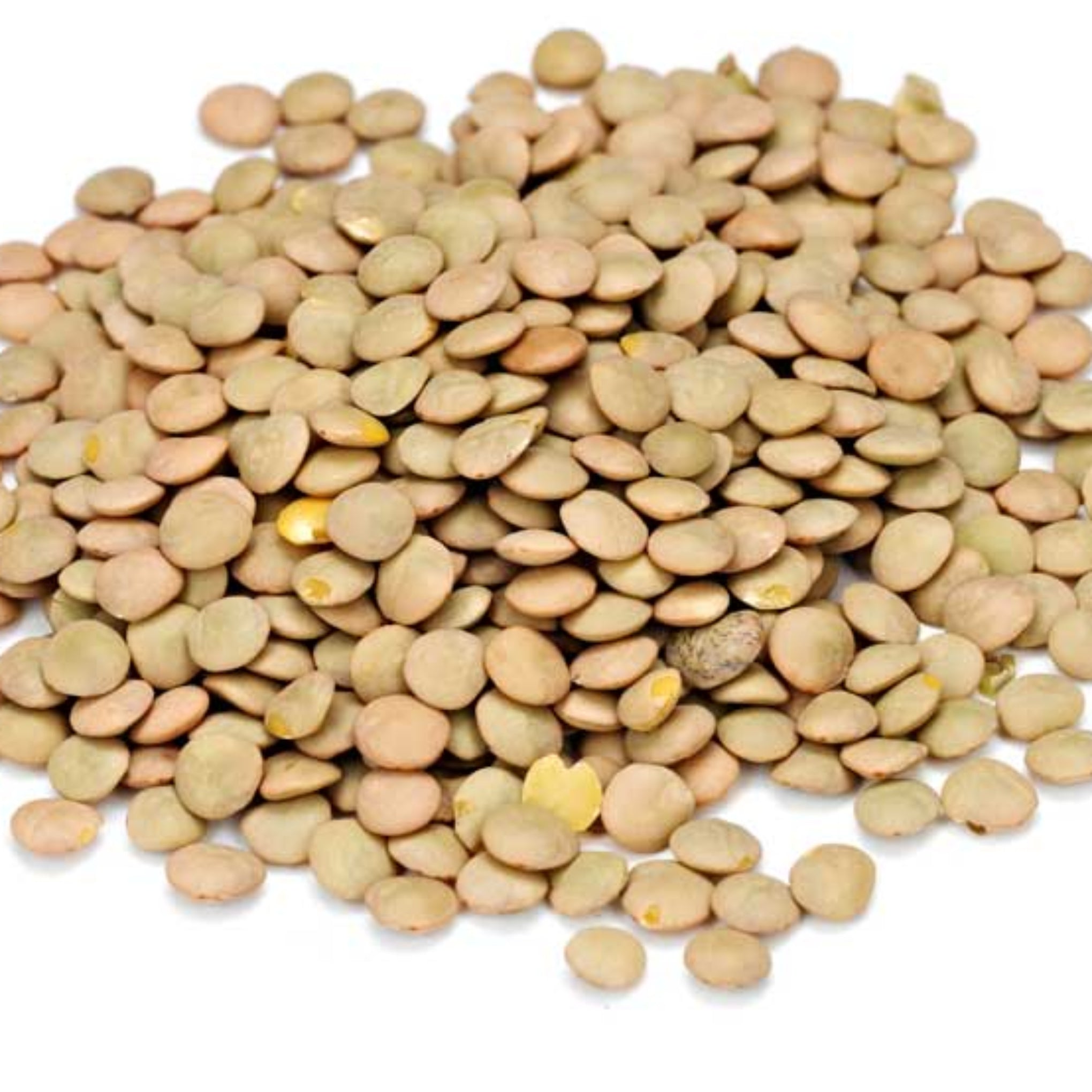 Lenteja x 500 gr surtigranos