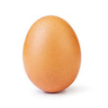 Huevos