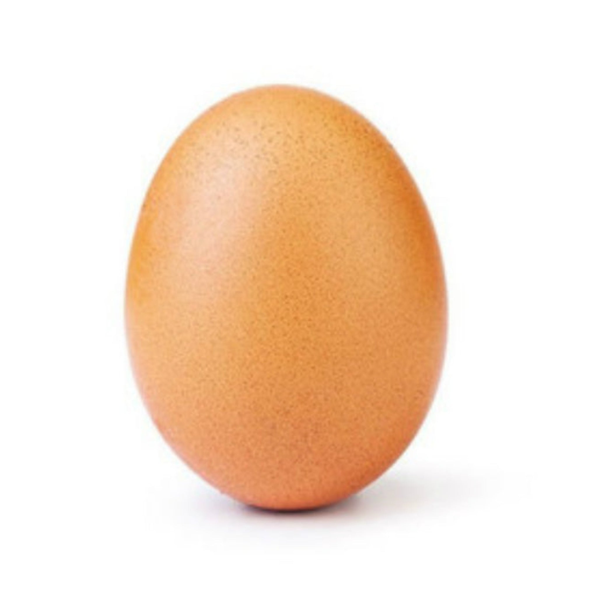 Huevos